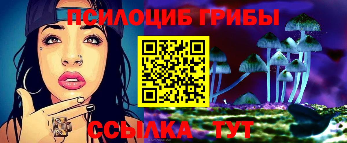 Псилоцибиновые грибы прущие грибы Нижний Тагил